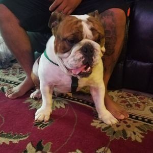 Meet your Posher, Marco